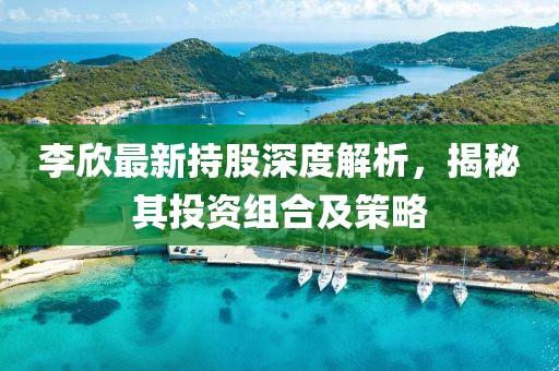 李欣最新持股深度解析，揭秘其投資組合及策略