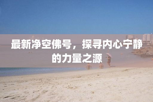 最新凈空佛號，探尋內(nèi)心寧靜的力量之源