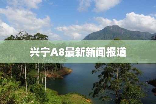 興寧A8最新新聞報(bào)道