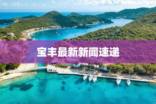 寶豐最新新聞速遞