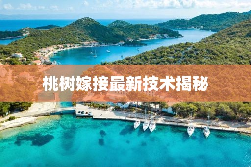 初遇在故事開頭 第27頁