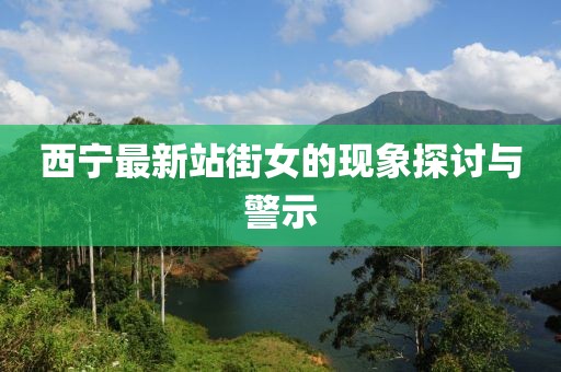 西寧最新站街女的現(xiàn)象探討與警示