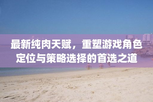 最新純肉天賦，重塑游戲角色定位與策略選擇的首選之道