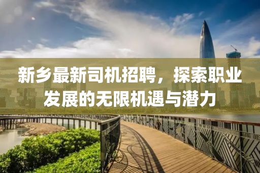 新鄉(xiāng)最新司機招聘，探索職業(yè)發(fā)展的無限機遇與潛力