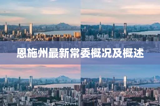 恩施州最新常委概況及概述