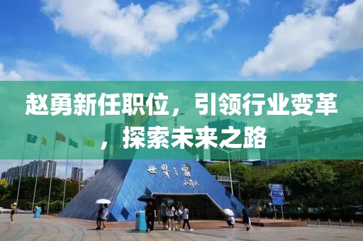 趙勇新任職位，引領(lǐng)行業(yè)變革，探索未來(lái)之路