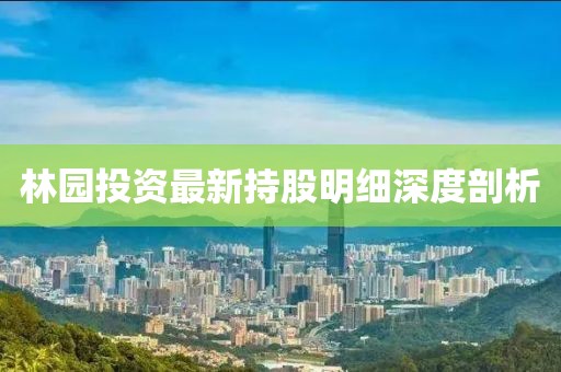 林園投資最新持股明細深度剖析