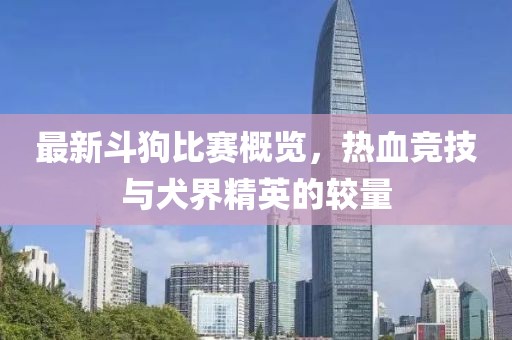 最新斗狗比賽概覽，熱血競技與犬界精英的較量