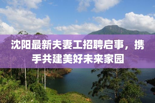 沈陽最新夫妻工招聘啟事，攜手共建美好未來家園