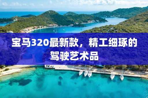 寶馬320最新款，精工細(xì)琢的駕駛藝術(shù)品