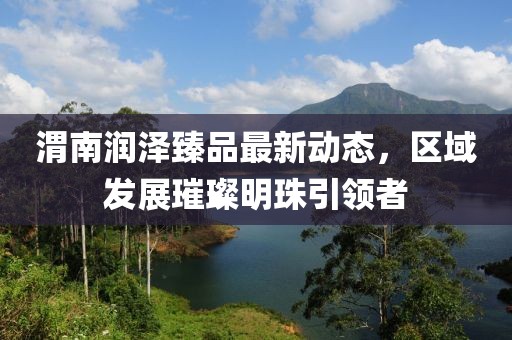 渭南潤(rùn)澤臻品最新動(dòng)態(tài)，區(qū)域發(fā)展璀璨明珠引領(lǐng)者