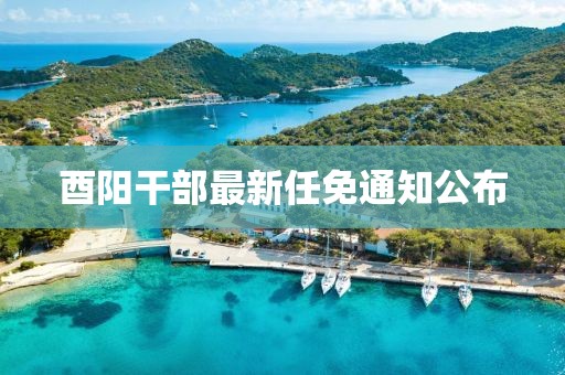 酉陽(yáng)干部最新任免通知公布
