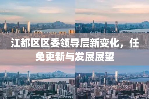 江都區(qū)區(qū)委領(lǐng)導(dǎo)層新變化，任免更新與發(fā)展展望