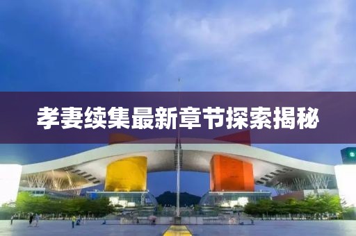 孝妻續(xù)集最新章節(jié)探索揭秘