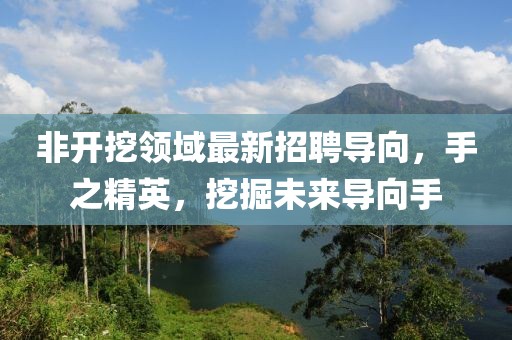 非開挖領域最新招聘導向，手之精英，挖掘未來導向手