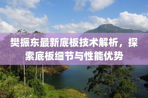 樊振東最新底板技術(shù)解析，探索底板細(xì)節(jié)與性能優(yōu)勢