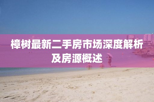 樟樹最新二手房市場深度解析及房源概述