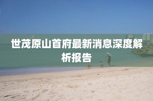 萌面人 第19頁