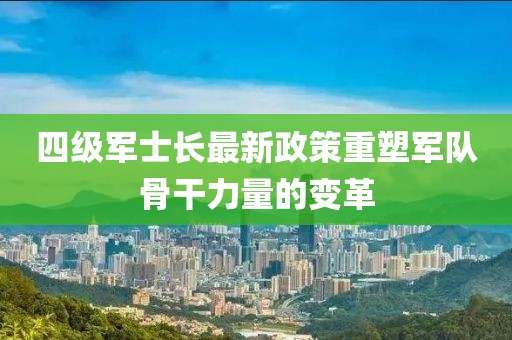 四級軍士長最新政策重塑軍隊骨干力量的變革