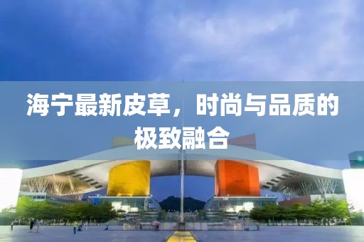 海寧最新皮草，時尚與品質(zhì)的極致融合