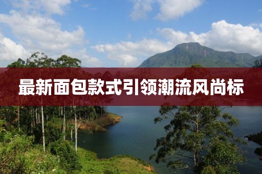 最新面包款式引領(lǐng)潮流風(fēng)尚標(biāo)