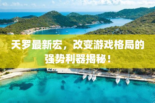 天羅最新宏，改變游戲格局的強(qiáng)勢利器揭秘！