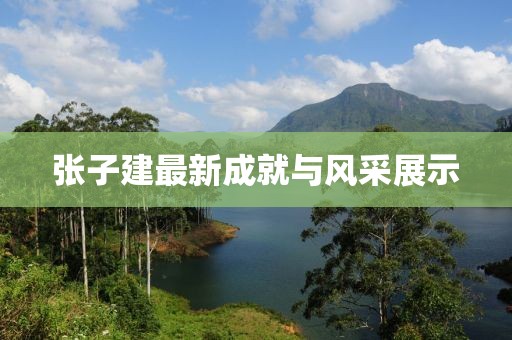 張子建最新成就與風采展示