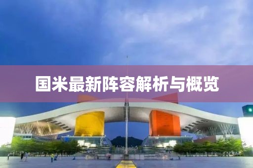 國(guó)米最新陣容解析與概覽