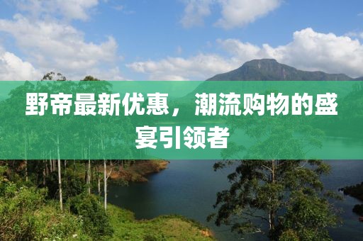 野帝最新優(yōu)惠，潮流購物的盛宴引領者