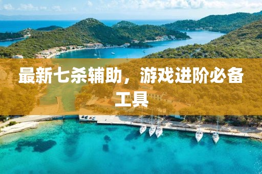 最新七殺輔助，游戲進(jìn)階必備工具