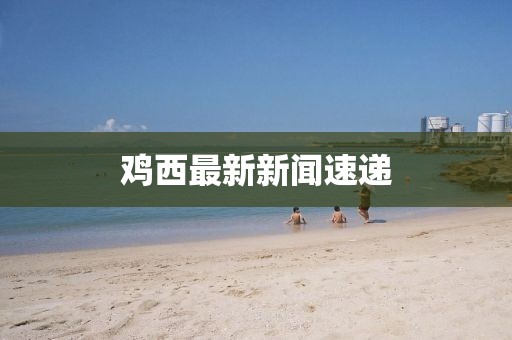 雞西最新新聞速遞