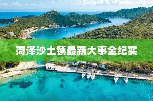 菏澤沙土鎮(zhèn)最新大事全紀(jì)實(shí)