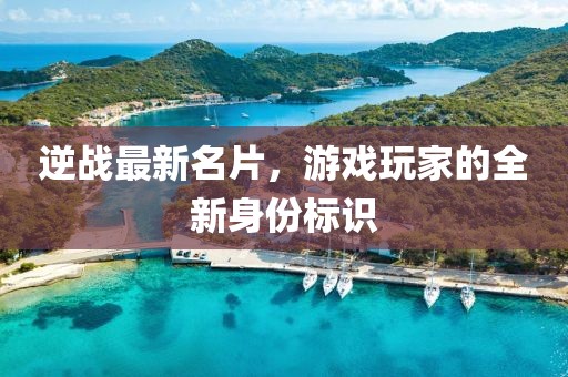 逆戰(zhàn)最新名片，游戲玩家的全新身份標(biāo)識(shí)
