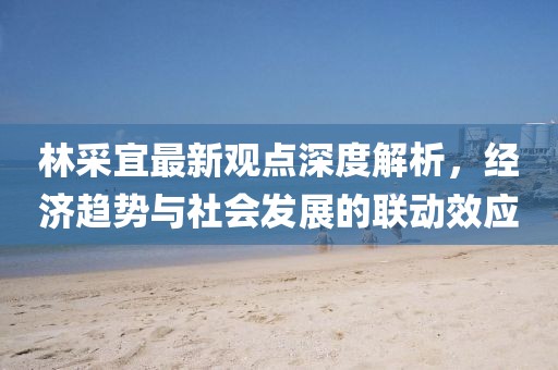 林采宜最新觀點深度解析，經(jīng)濟(jì)趨勢與社會發(fā)展的聯(lián)動效應(yīng)
