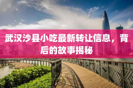 武漢沙縣小吃最新轉(zhuǎn)讓信息，背后的故事揭秘