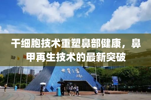 束清歡 第17頁(yè)