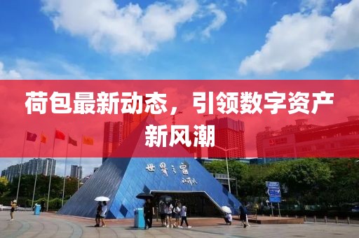 荷包最新動態(tài)，引領(lǐng)數(shù)字資產(chǎn)新風(fēng)潮