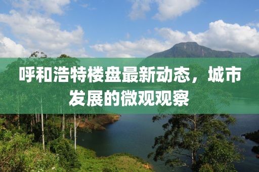 呼和浩特樓盤最新動態(tài)，城市發(fā)展的微觀觀察
