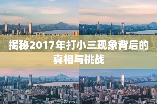 揭秘2017年打小三現(xiàn)象背后的真相與挑戰(zhàn)