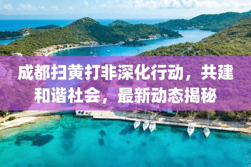 成都掃黃打非深化行動，共建和諧社會，最新動態(tài)揭秘