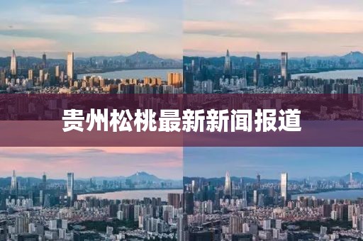 貴州松桃最新新聞報道