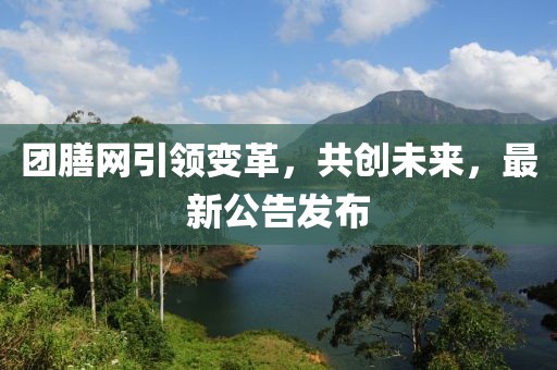 團(tuán)膳網(wǎng)引領(lǐng)變革，共創(chuàng)未來(lái)，最新公告發(fā)布