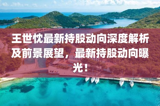 王世忱最新持股動(dòng)向深度解析及前景展望，最新持股動(dòng)向曝光！