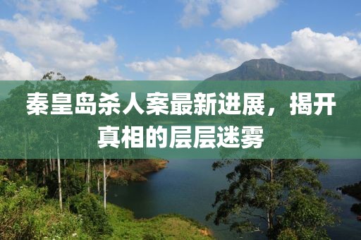 秦皇島殺人案最新進展，揭開真相的層層迷霧