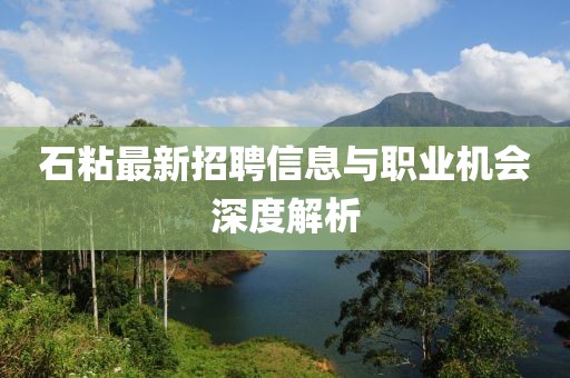 石粘最新招聘信息與職業(yè)機(jī)會深度解析