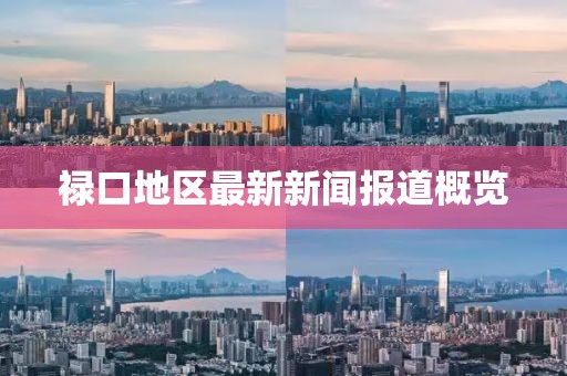 祿口地區(qū)最新新聞報(bào)道概覽