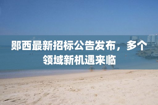 鄖西最新招標(biāo)公告發(fā)布，多個(gè)領(lǐng)域新機(jī)遇來(lái)臨