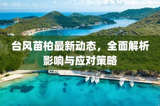臺(tái)風(fēng)苗柏最新動(dòng)態(tài)，全面解析影響與應(yīng)對(duì)策略