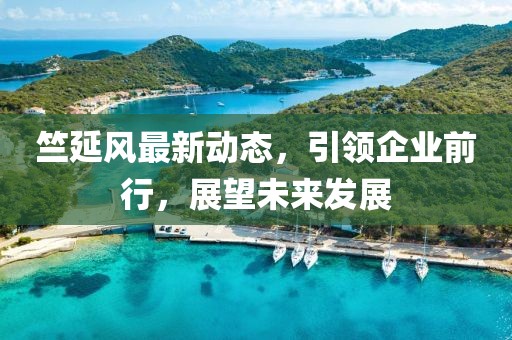 竺延風最新動態(tài)，引領企業(yè)前行，展望未來發(fā)展
