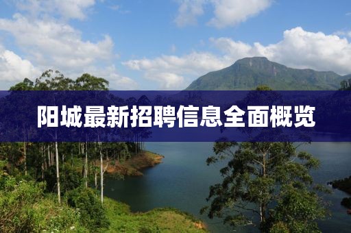 陽(yáng)城最新招聘信息全面概覽